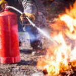 FIRE movement pros and cons